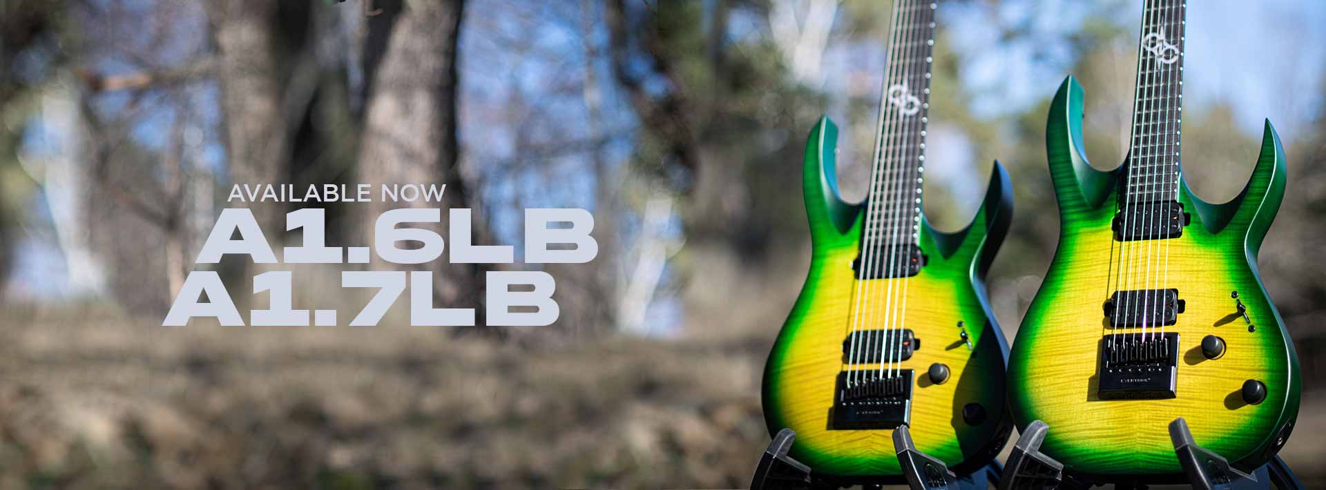 Welcome to the SOLAR GUITARS website !